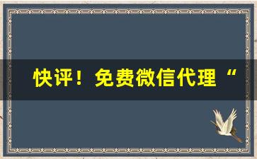 快评！免费微信代理“阿娇金屋”