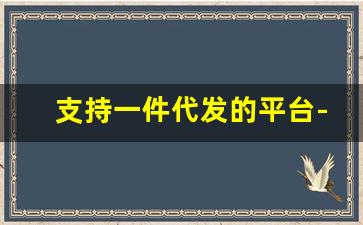 支持一件代发的平台-可以做一件代发的平台