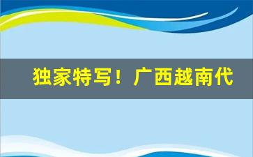 独家特写！广西越南代工香烟批发零售“放诞任气”