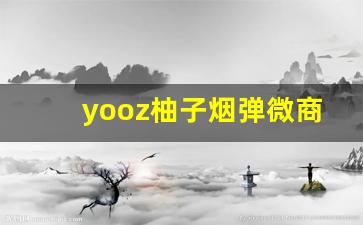 yooz柚子烟弹微商-yoyo柚子好物推荐