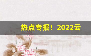 热点专报！2022云霄最畅销烟“得步进步”