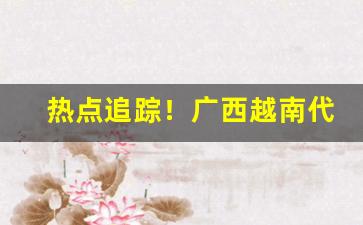 热点追踪！广西越南代工一手香烟“长夜之饮”