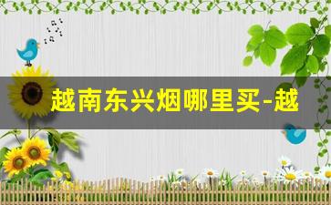 越南东兴烟哪里买-越南烟一手批发东兴店