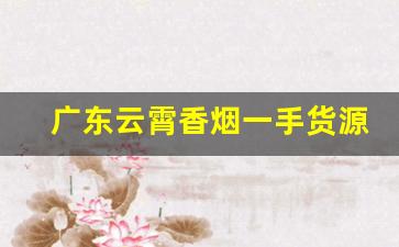 广东云霄香烟一手货源？