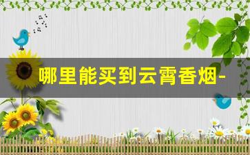 哪里能买到云霄香烟-寻找云霄各种高档香烟