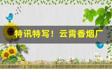 特讯特写！云霄香烟厂家批发一手货源“豺狼虎豹”