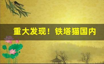 重大发现！铁塔猫国内有卖吗“船到桥门自然直”