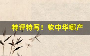 特评特写！软中华哪产的“仇深似海”