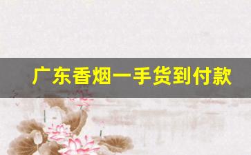 广东香烟一手货到付款放心购-香烟30元以下销量