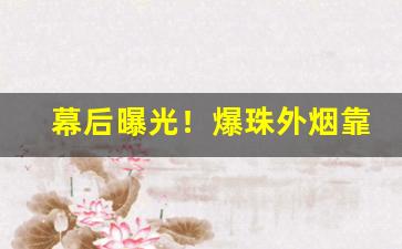 幕后曝光！爆珠外烟靠谱稳定发货“筚门闺窦”