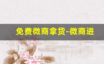 免费微商拿货-微商进货哪里便宜又好