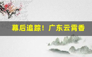 幕后追踪！广东云霄香烟一手货源渠道微信“等闲之辈”