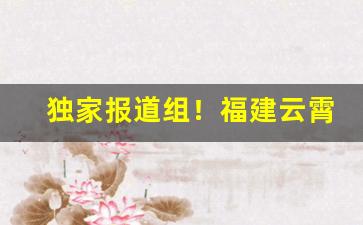 独家报道组！福建云霄烟价位“苍黄翻复”