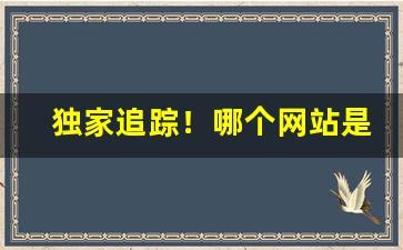 独家追踪！哪个网站是货到付款的“抵瑕陷厄”