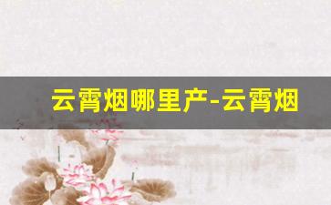 云霄烟哪里产-云霄烟在当地便宜吗