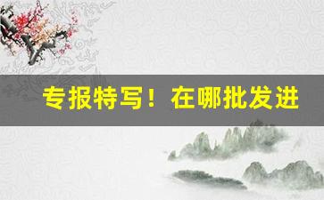 专报特写！在哪批发进口烟“改行迁善”