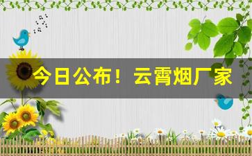 今日公布！云霄烟厂家一手货源批发市场无中间商赚差价“草率收兵”