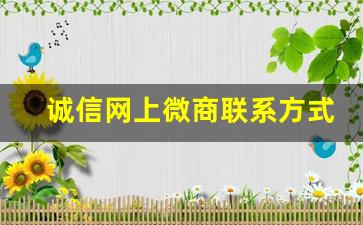 诚信网上微商联系方式推荐-微商怎么申请平台介入