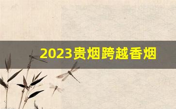 2023贵烟跨越香烟价格表图-贵州全部香烟价格表