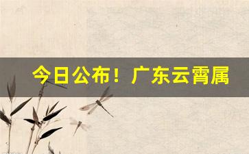 今日公布！广东云霄属于哪里“蝶意莺情”