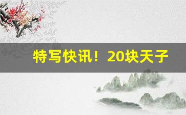 特写快讯！20块天子烟一条批发价格“鹅毛片”