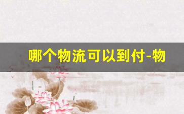 哪个物流可以到付-物流到付比较便宜吗
