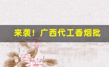 来袭！广西代工香烟批发厂家直销“安于现状”