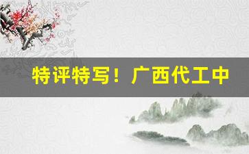 特评特写！广西代工中华烟口感怎么样“材能兼备”