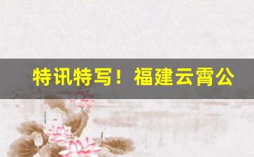 特讯特写！福建云霄公司香烟“超然远举”