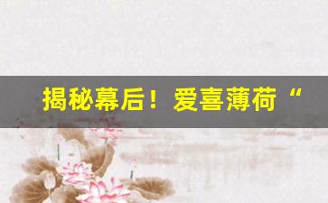 揭秘幕后！爱喜薄荷“甘言厚礼”