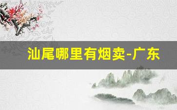 汕尾哪里有烟卖-广东汕尾出口烟