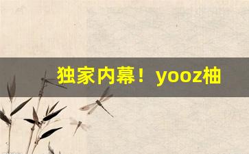 独家内幕！yooz柚子二代价格“得荫忘身”