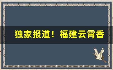 独家报道！福建云霄香烟销售“奔轶绝尘”