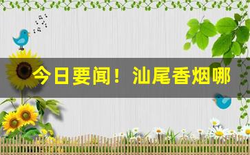 今日要闻！汕尾香烟哪里有卖“抱痛西河”
