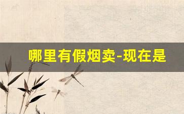 哪里有假烟卖-现在是不是很多地方卖假烟