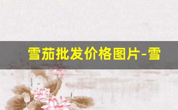 雪茄批发价格图片-雪茄供货价格表查询