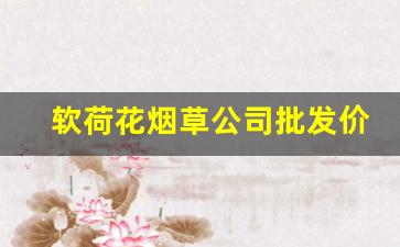 软荷花烟草公司批发价-荷花烟草价格表查询