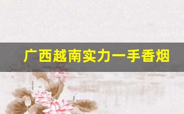 广西越南实力一手香烟厂家-越南代加工的香烟质量怎么样