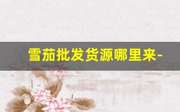 雪茄批发货源哪里来-雪茄一手货源价格