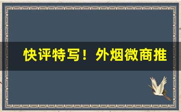 快评特写！外烟微商推荐“鞭麟笞凤”