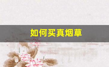 如何买真烟草