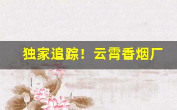 独家追踪！云霄香烟厂家一手货源网“班师回朝”