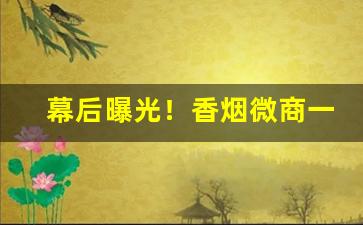 幕后曝光！香烟微商一手货源正品“鸟飞兔走”