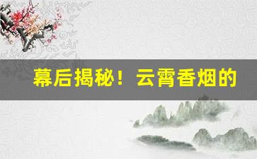幕后揭秘！云霄香烟的批发网“放龙入海”