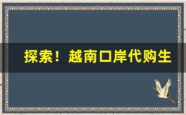 探索！越南口岸代购生意“不存不济”