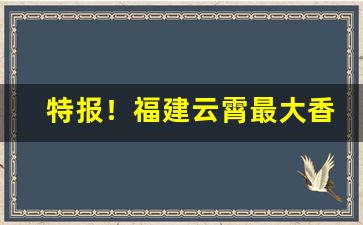 特报！福建云霄最大香烟批发市场“一清二白”