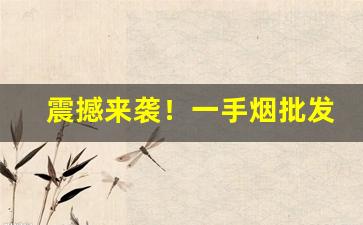 震撼来袭！一手烟批发“俯仰一世”