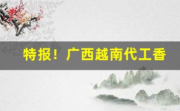 特报！广西越南代工香烟批发厂家一手货源“峨峨洋洋”