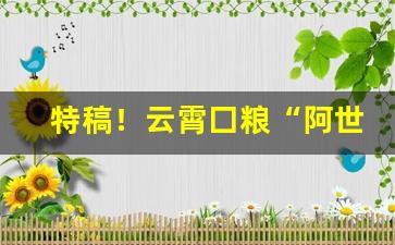 特稿！云霄囗粮“阿世媚俗”