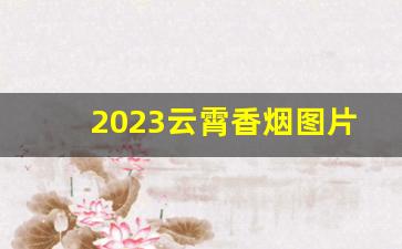 2023云霄香烟图片与价格-云霄香烟6月25日价格一览表